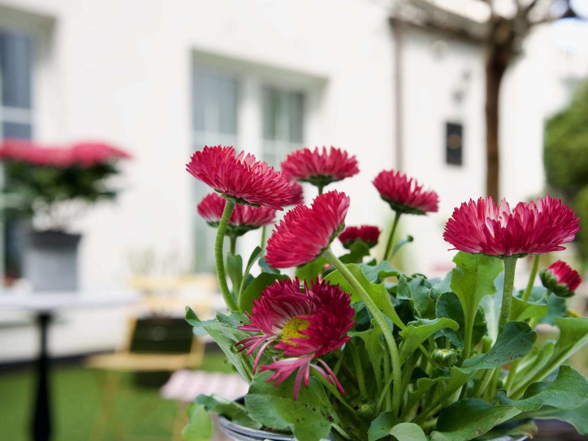 Apartments Les Jardins Hamburg Ngoại thất bức ảnh